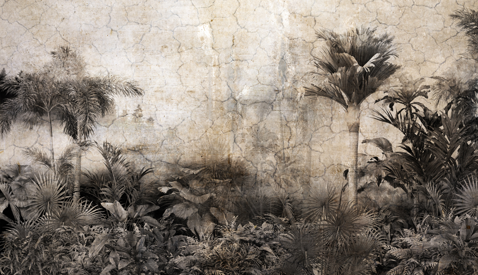 Tropical,Trees,And,Leaves,Wallpaper,Design,In,Foggy,Forest,- PS 780 Vintage Tropikal Orman Desenli Poster Duvar Kagidi